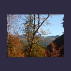 2012-10-20_Fall_AQUILA (050).JPG